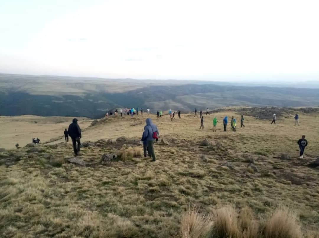 Bale Mountains National Park - Ethiopia tour package in Dinsho Oromia