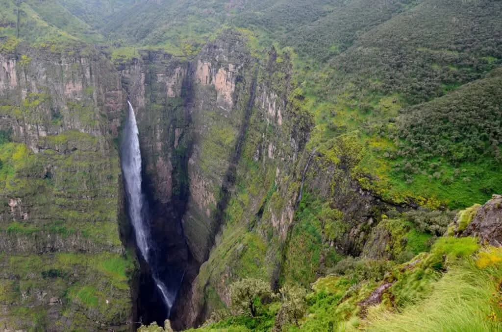 Trek through the 'Roof of Africa' - Ethiopia's spectacular Simien Mountains National Park, a UNESCO World Heritage site renowned for dramatic escarpments, deep valleys, and unique endemic wildlife inc